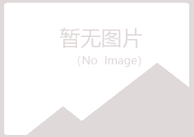 黄山夏岚建设有限公司